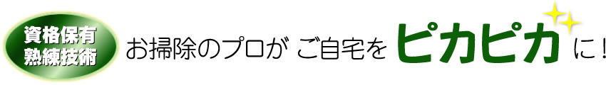 お掃除のプロがご自宅をピカピカに！